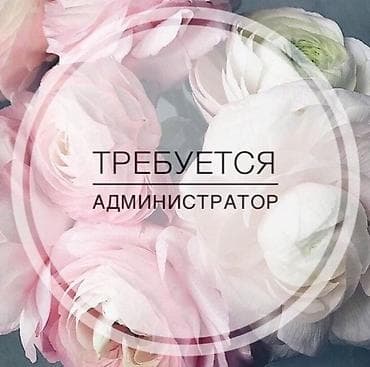 Администратор. Салон красоты. 5 мкр — 1