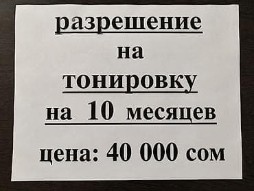 Автоуслуги: Разрешение на тонировку - Срок действия: 10 месяцев - Предназначение — 2