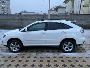Ковролин: Lexus RX: 2006 г., 3.3 л, Автомат, Бензин, Кроссовер — 1
