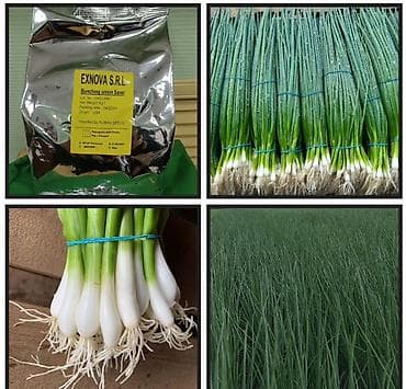 для варки кукурузы: Лук — 1