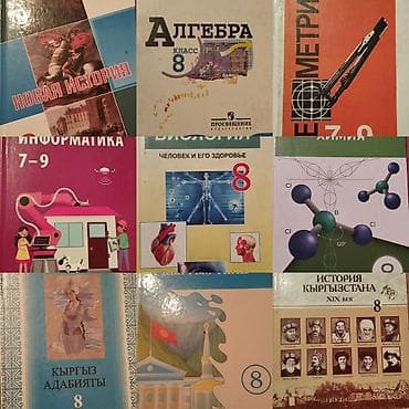 solutions elementary: Русская литература, 8 класс, Новый — 2