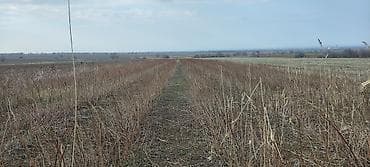 рыбные хозяйства: 100 соток, Для сельского хозяйства, Красная книга, Тех паспорт — 2