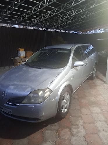 Немецкая овчарка, 4 года, Самка, С прививкой