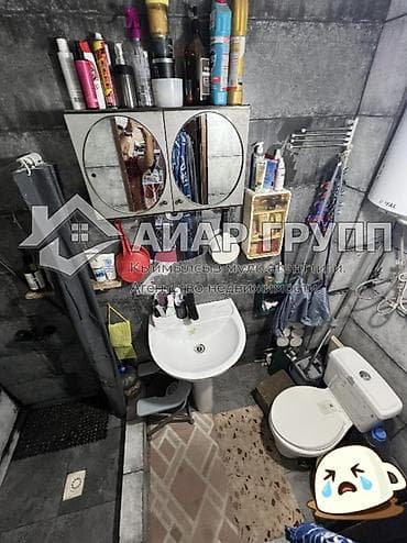 пр чуй: 1 комната, 28 м², 1 этаж, Косметический ремонт — 6