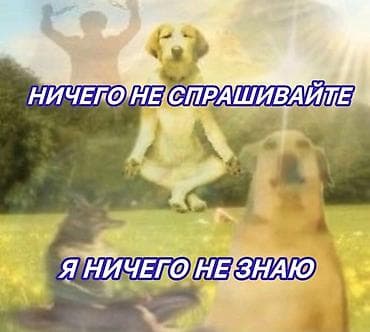 оператор интернет клуб: Требуется Администратор: Оплата: Ежедневно — 1