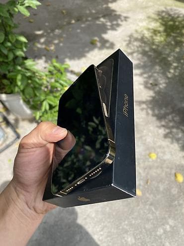 apple pro: IPhone 12 Pro Max, 128 ГБ, Matte Gold, Коробка, 80 % — 5