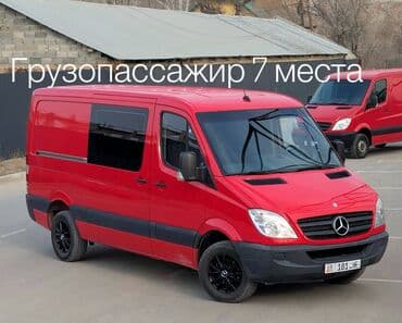 мухобойки на авто: Mercedes-Benz Спринтер: 2008 г., 2.2 л, Автомат, Дизель, Бус — 1