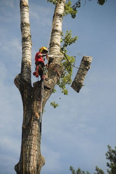 Кийимди тигүү жана оңдоп-түзөө: Спил Бак аралайбыз.баардык кыйынчылыктагы кыябыз. адамдар оздору — 2