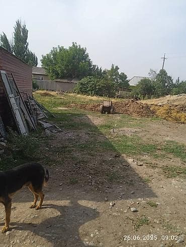 Жер тилкелери: 33 соток, Бизнес үчүн, Кызыл китеп, Техпаспорт, Сатып алуу-сатуу келишими — 2