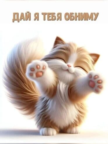 сдается квартира дордой 2: Подселением сдается ком. ищем чистоплотную,аккуратную и без.вредных — 3