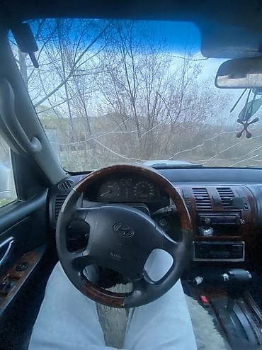 Транспорт: Hyundai Terracan: 2003 г., 2.9 л, Автомат, Дизель, Внедорожник — 4