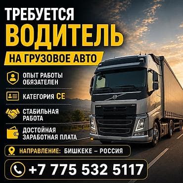 требуется водитель с: Требуется Водитель грузового транспорта, Категория прав (CE), На фуру, 3-5 лет опыта — 1