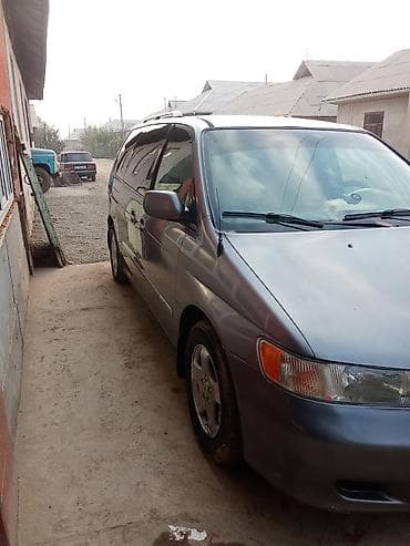 реснички на одиссей: Honda Odyssey: 2000 г., 3.5 л, Автомат, Газ, Минивэн — 4