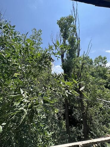 1: 1 комната, 32 м², 6 мкр 4 этаж, Евроремонт — 1