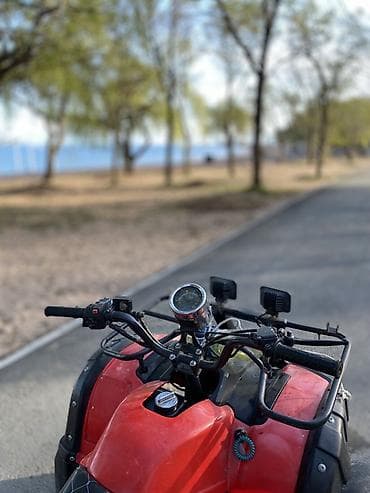 сервопривод купить: Квадроцикл Подходит для: - Прогулок по бездорожью, рыбалки, охоты - — 4