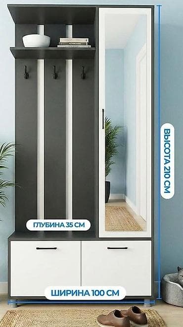 прихожая шкаф: Шкаф-прихожая, Б/у, С зеркалом — 1