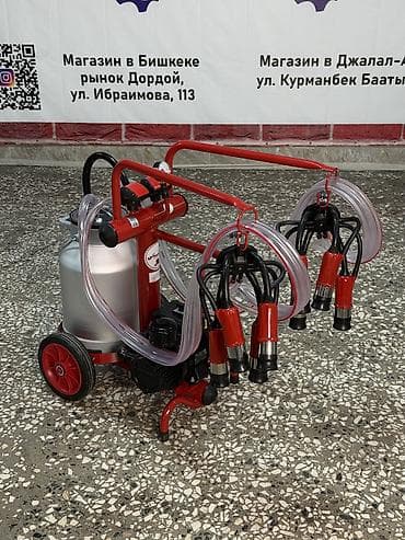 Үй жаныбарлары: Доильный аппарат TAMAM от компании «Техномаш» Быстро. Удобно — 2