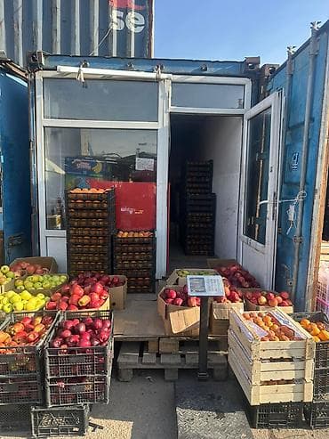 абрикосы оптом: Яблоки Оптом — 2