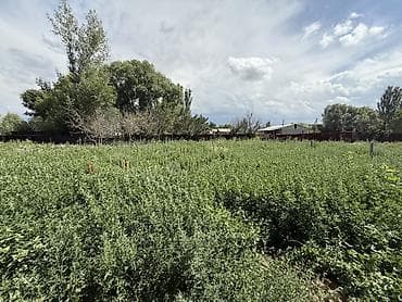 цены на недвижимость бишкек: Farm КРС, 12 соток, Не действующий, Частично с оборудованием, Без коммуникаций — 3