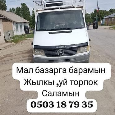 прокат стремянки лестницы: Услуги по перевозке скота на рынок - Специализированный бортовой — 1