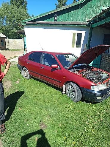 машины за 500 тысяч: Nissan Primera: 1998 г., Механика — 3