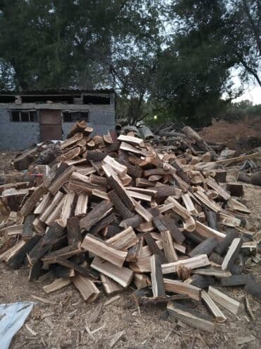 продать дрова оптом: Дрова — 2