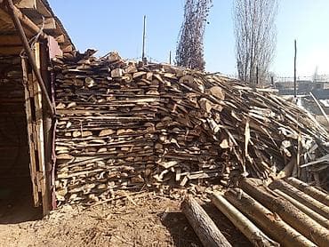 Дрова Тополь