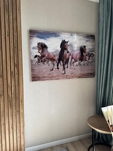 Настенные постеры с изображением бегущих лошадей Картины по 500сом at lalafo.kg Настенные постеры с изображением бегущих лошадей Картины по 500сом