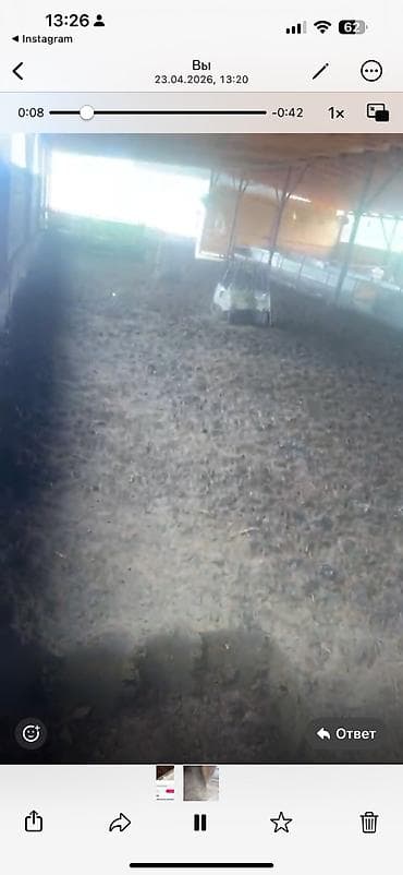 роторный касилке: Уборка помещений — 2