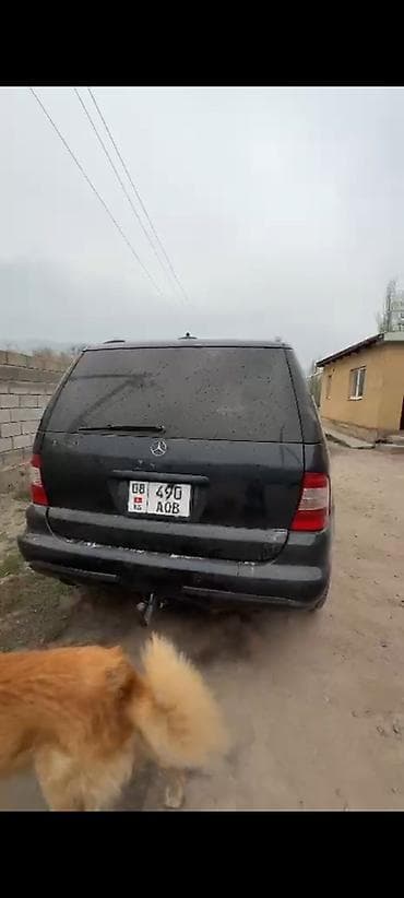 Mercedes-Benz ML-Class: 2003 г., 3.2 л, Автомат, Бензин, Кроссовер — 9