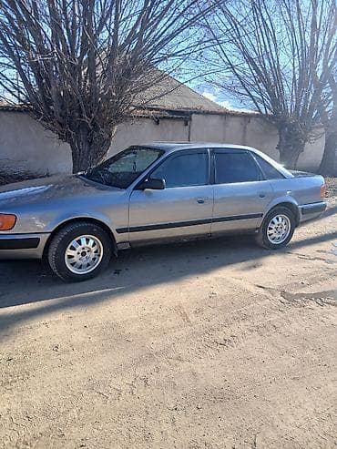 Audi: Audi 100: 1993 г., 2.3 л, Седан — 3