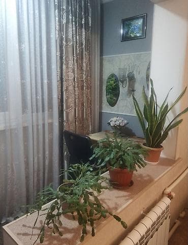 variant kg: 1 комната, 46 м², Индивидуалка, 1 этаж — 3