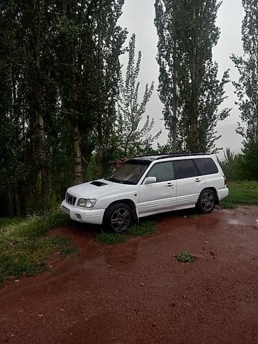 мото тур эндуро: Subaru Forester: 2001 г., 2 л, Автомат, Универсал — 2