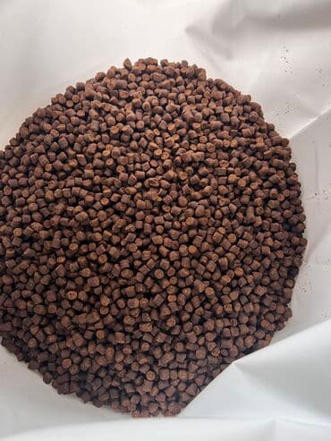 корм для мальков форели: Продаю экструдированный гранулированный медленно тонущий корм для — 1