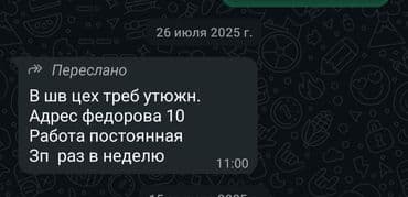 работа аэропорт: Гладильщик — 1