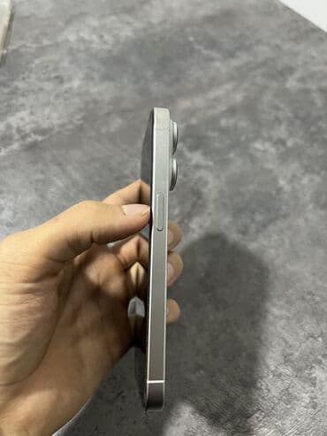 айфон 12 про мини: IPhone 15 Pro, Natural Titanium, Чехол — 4