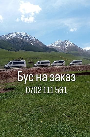 автобусы паз: Пассажирские перевозки на заказ — микроавтобус Mercedes-Benz (длинная — 1
