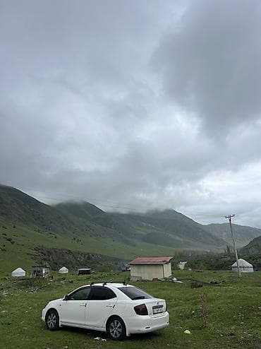 Toyota Allion: 2002 г., 1.8 л, Автомат, Бензин, Седан