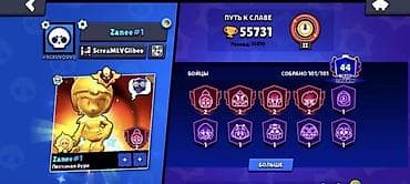 Продажа игрового аккаунта Brawl Stars. Основное: - Ник: Zanee#1 -