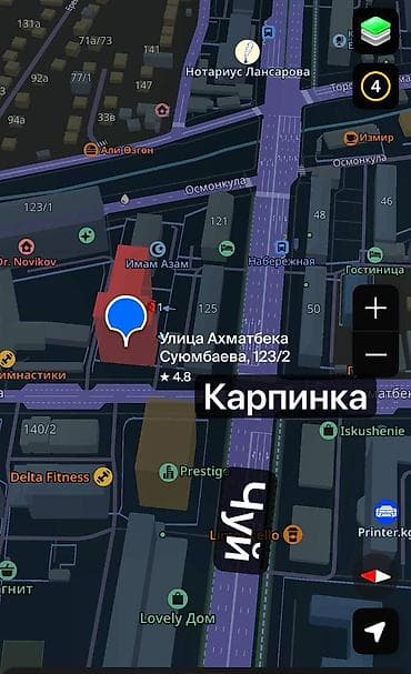 ✅ В ПРОДАЖЕ ПОМЕЩЕНИЕ 195 м² в Центре города 📍 Чуй // Карпинка Ул — 2