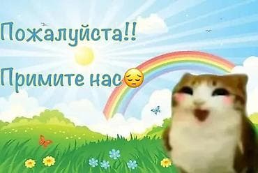 дедские наклейки: Очень хотим найти работу/подработку!Наше био в описании профиля! Наши — 2