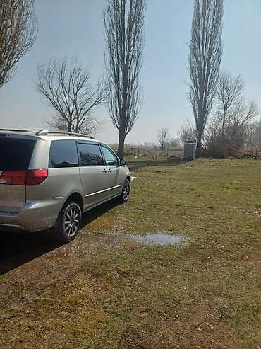 lexus 670: Toyota Sienna: 2004 г., 3.3 л, Автомат, Бензин, Минивэн — 2