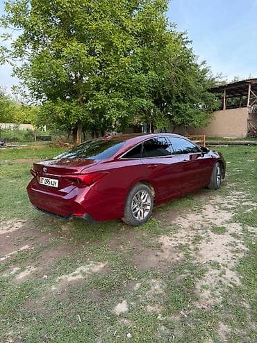 авто сатуу: Toyota Avalon: 2020 г., Автомат, Седан — 4