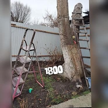 Обмен большое дерево район старого автовокзала