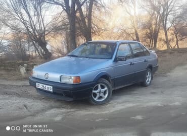 дом на калесох: Volkswagen Passat: 1991 г., Механика, Бензиновая, Седан — 1