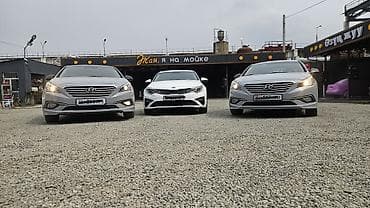 коробка бмв е34: Прокат бизнес‑седанов Автомобили: - Kia Optima (белый) — современный — 2