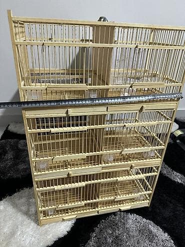 попугаи клетки: Продаю деревянный клетки для птицы 
Новый 
Цена 5500сом — 4