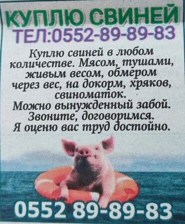 форма для охраны купить: КУПЛЮ СВИНЕЙ В ЛЮБОМ КОЛИЧЕСТВЕ НА МЯСО НА ДАРОСТ МОЖНО ВЫНУЖДЕННЫЙ — 1