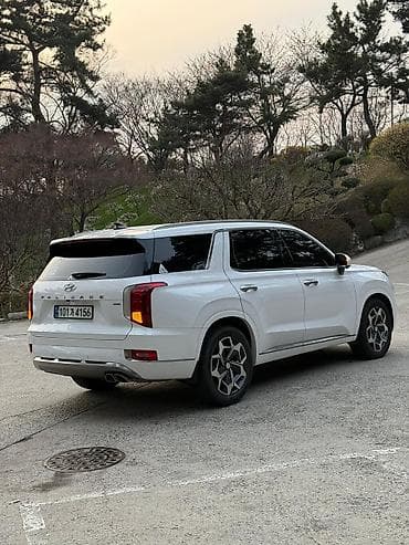 Hyundai Palisade: 2022 г., 2.2 л, Дизель, Кроссовер — 3