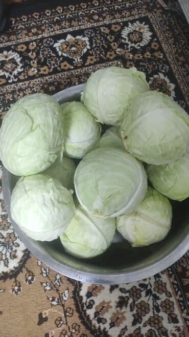 уголь в бишкеке с доставкой: Капуста Белокачанная, Оптом — 3